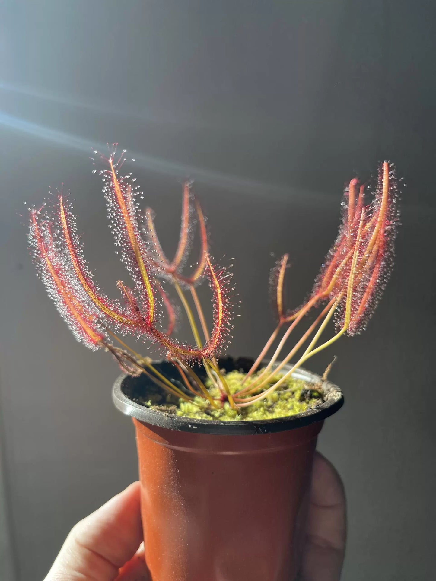 8273F409-48D8-4A1E-8684-02587A67909F