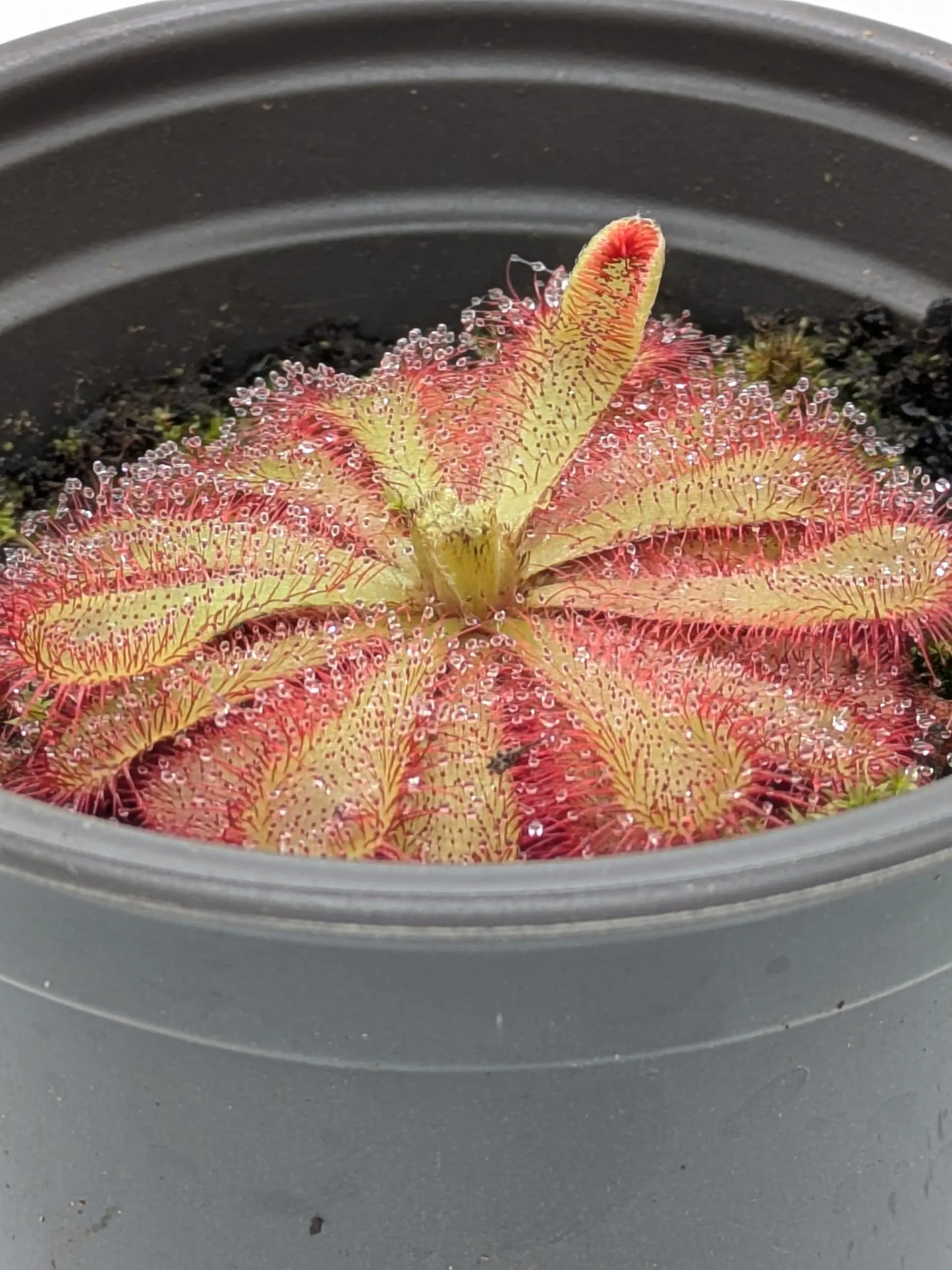 PXL_20250412_202357826