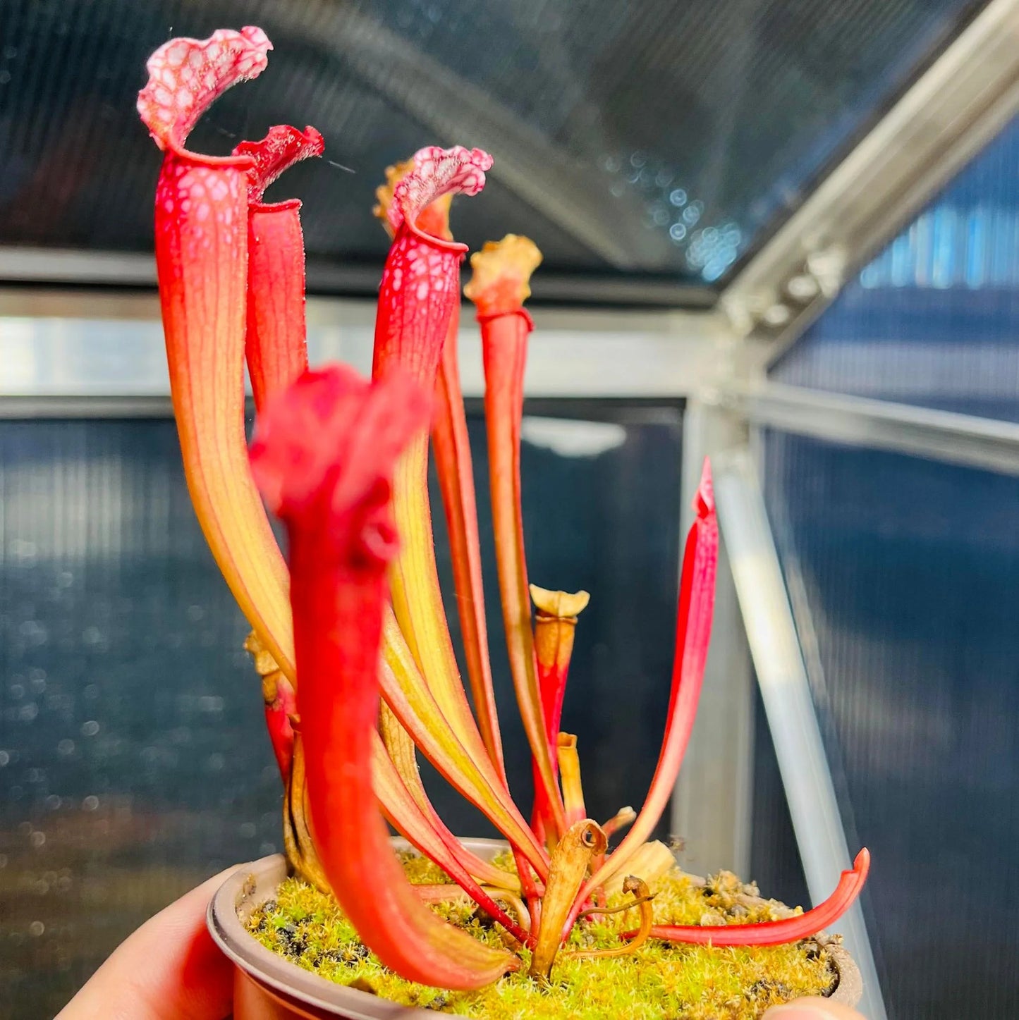 436616810_439533178691470_3527442712007344748_n